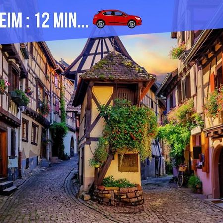 Apartamento Le Blue St Léon : 2 pièces COZY Lit King Size WIFI Colmar Exterior foto