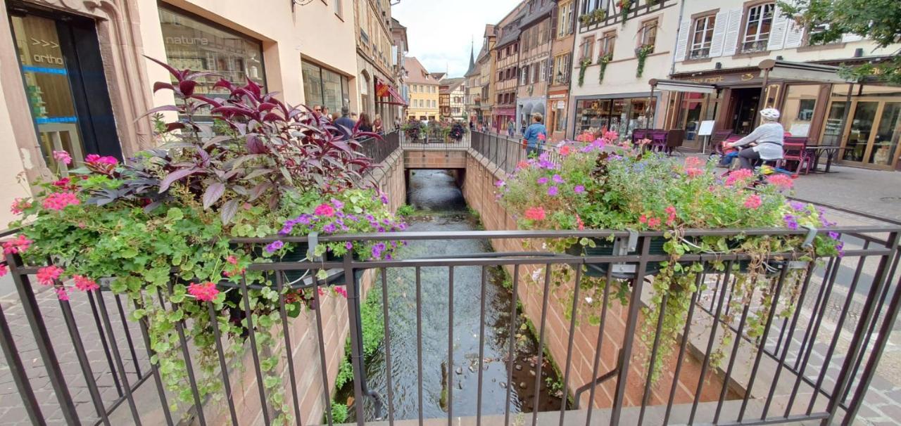 Apartamento Le Blue St Léon : 2 pièces COZY Lit King Size WIFI Colmar Exterior foto