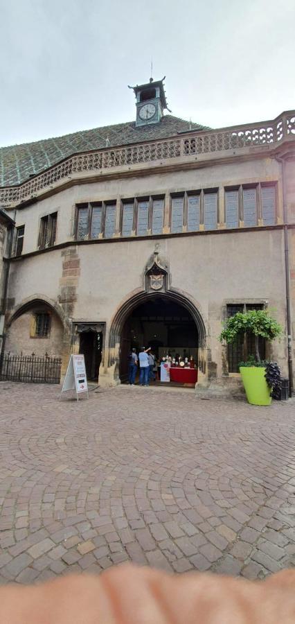 Apartamento Le Blue St Léon : 2 pièces COZY Lit King Size WIFI Colmar Exterior foto